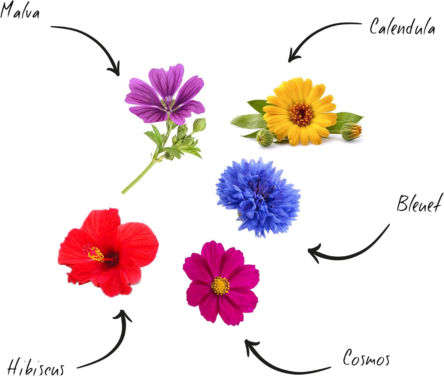 Cultivea – Mini Kit Huerto de Flores Comestibles – 100% Semillas ...