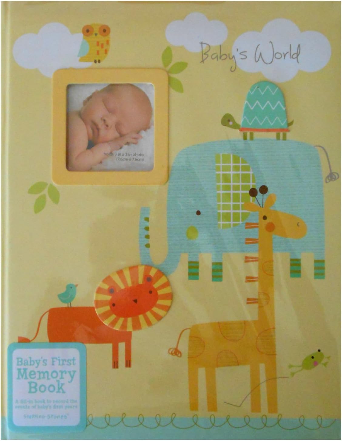 stepping stones baby book