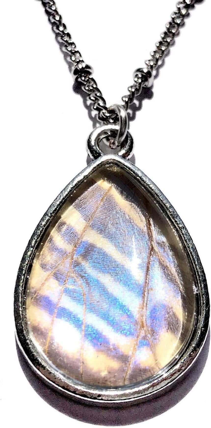 Real butterfly wing necklace Glass terrarium necklace Butterfly wing jewelry Pressed flower jewelry Pearl morpho Selenaris teardrop