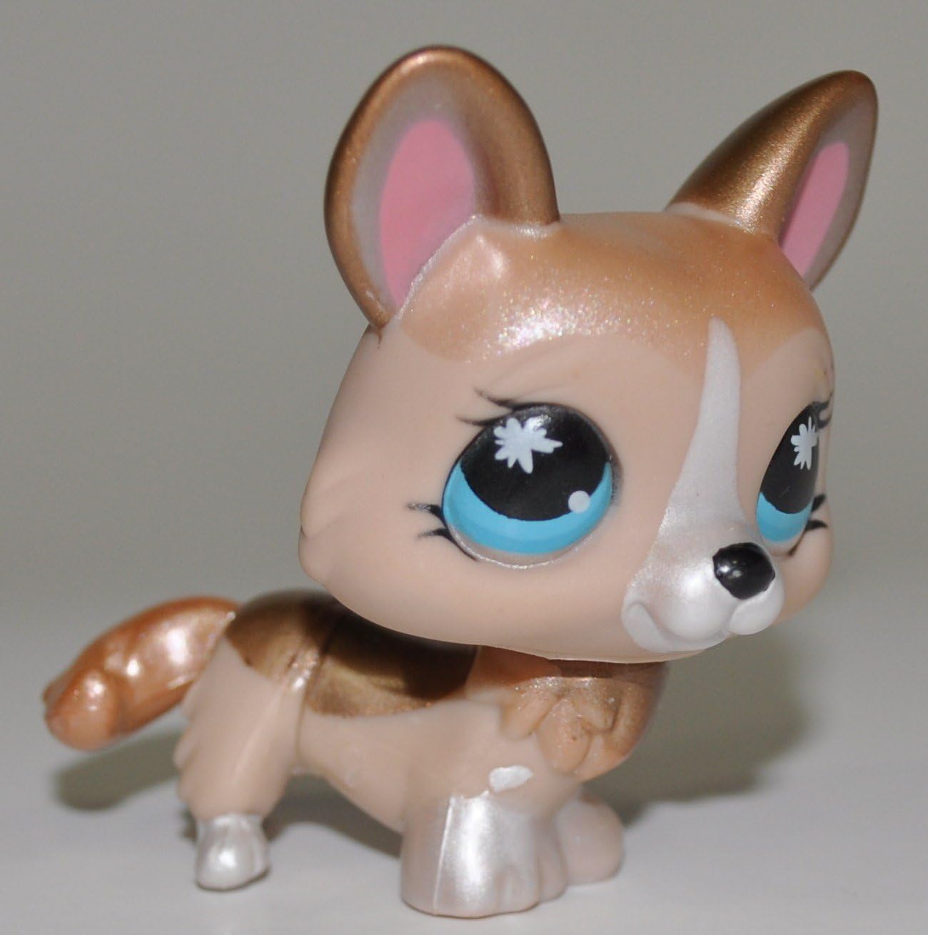 lps corgi