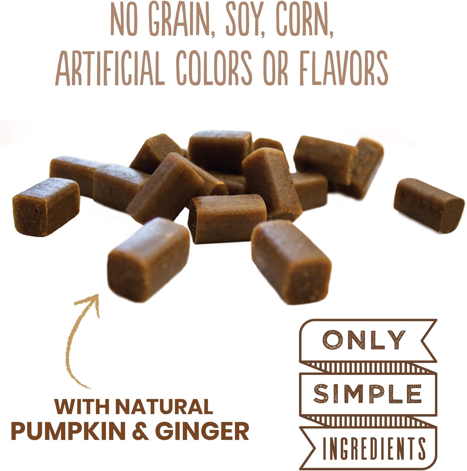 Cloud Star Dynamo Dog Tummy Treats – Soft & Chewy Probiotics Support for Dogs (14 oz. Pumpkin and Ginger) (20212) : Pet Snack Treats : Pet Supplies