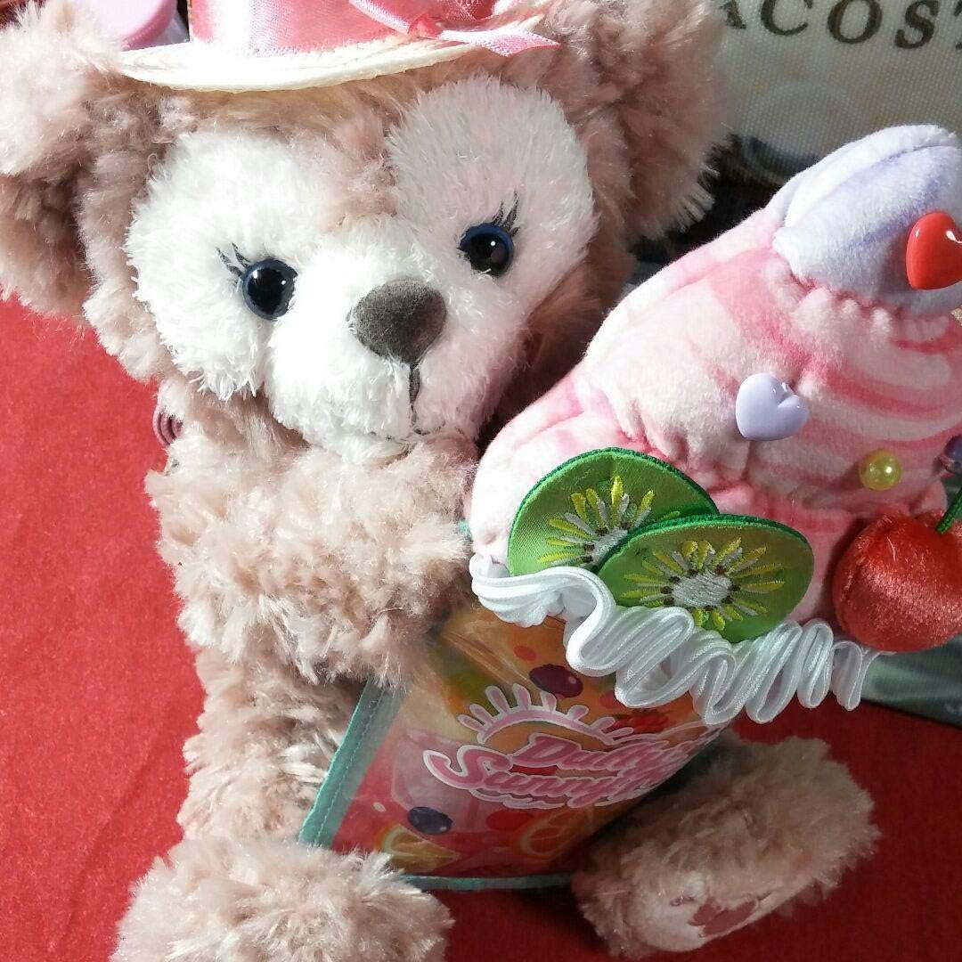 Amazon Tds ミラコスタ 限定 ダッフィー シェリーメイ サニーファン パスケース トートバッグ 2点セット アイドル 芸能人グッズ 通販