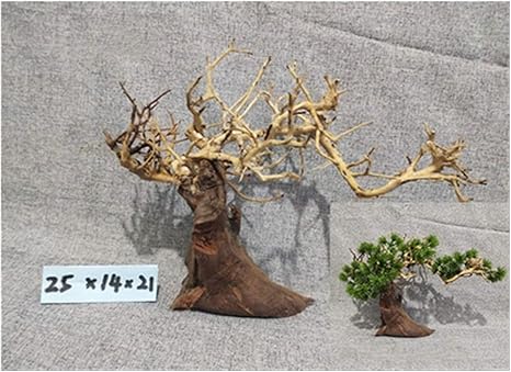 Amazon Co Jp Dddcm ツリーモス水族館盆栽流木モスツリー 色 04 サイズ 1 Piece ホーム キッチン Amazon Co Jp Dddcm ツリーモス水族館盆栽流木モスツリー 色 04 サイズ 1 Piece ホーム キッチン
