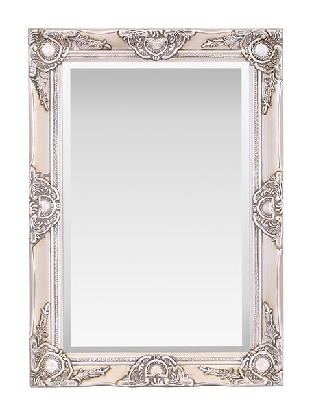 Select Spiegel Haywood Wandspiegel – French Vintage, Rokoko Barock Stil – 50 cm x 70 cm – Chic Home Decor, Champagnerfarben, 