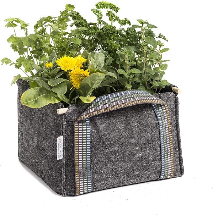 Saco Tomatero Mh (30x30x30cm) para huerto Urbano + Manual ...