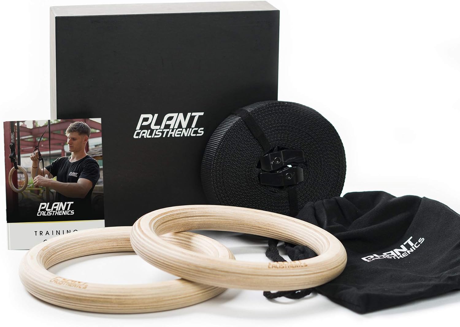 calisthenics rings program