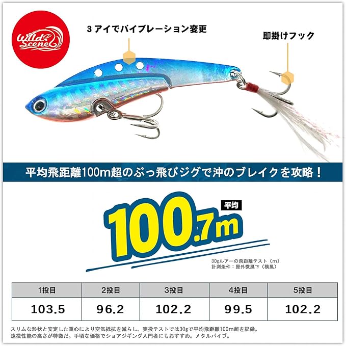 Amazon Wild Scene ワイルドシーン メタルバイブ ルアー ５色 セット ライトショアジギング に最適 オリジナル 収納box 付属 Wild Scene ルアー