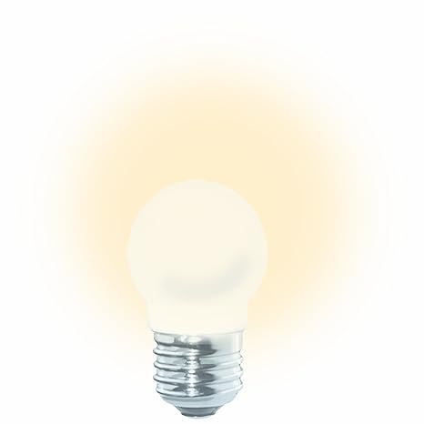 2 5 Watt Led Light Bulb For Ceiling Fan Or Other Purpose Warm