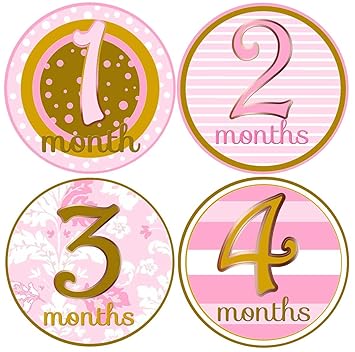 baby month stickers girl