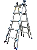 Werner mt 22 ladder