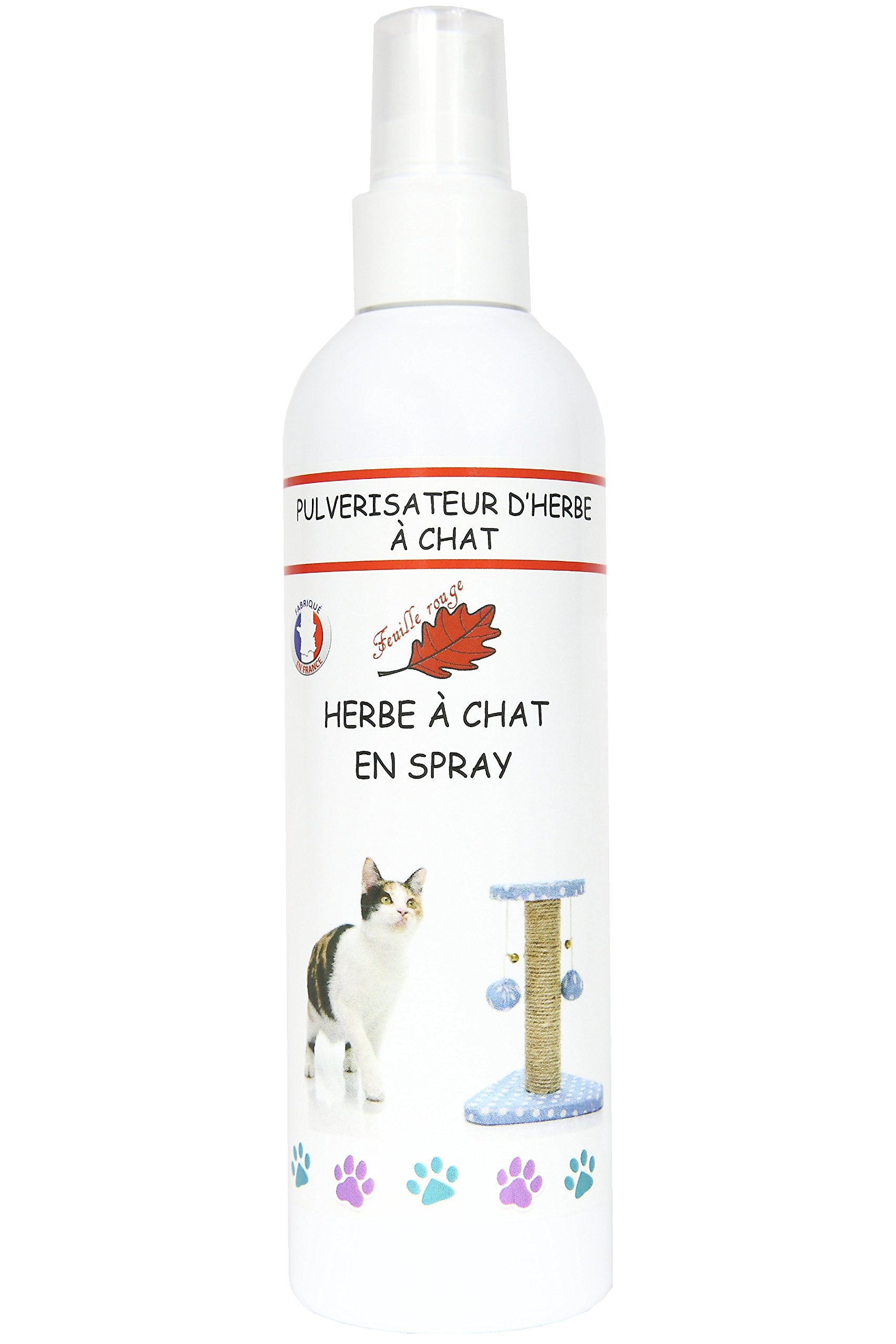 cat attract spray
