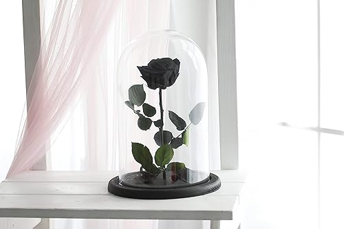Amazon Com Beauty And The Beast Rose Size Large Live Forever Rose Enchanted Rose Rose In Glass Dome Forever Rose Rose In Glass Preserved Rose Preserved Flower Black Rose Handmade