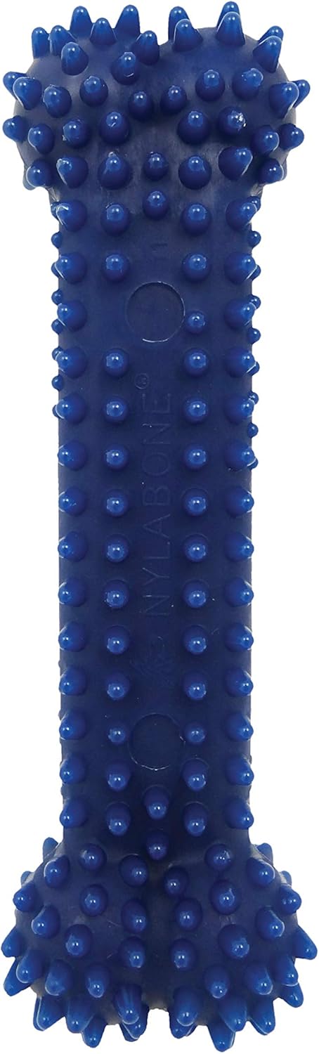 Pet Supplies : Pet Chew Toys : Nylabone Moderate Chew FlexiChew Dental Chew Toy Chicken Flavor X-Small/Petite - Up to 15 lbs. : 