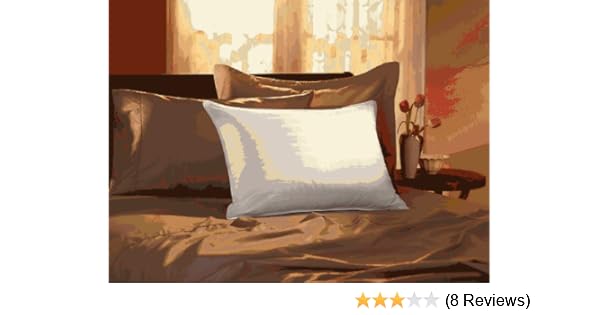 Amazon Com Pacific Coast 75 25 Down And Feather Pillow Standard