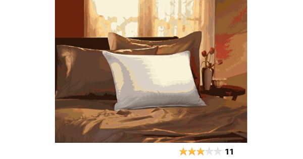 pacific coast pillows amazon