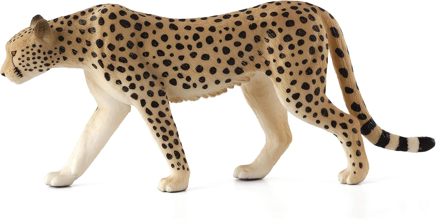 Amazon.com: MOJO Cheetah (Male 