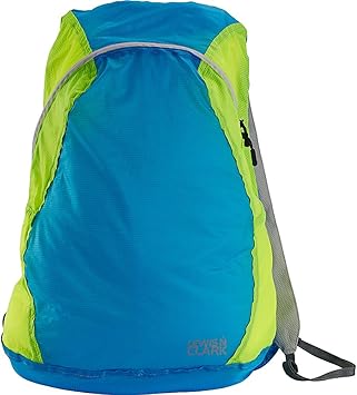 lewis backpack