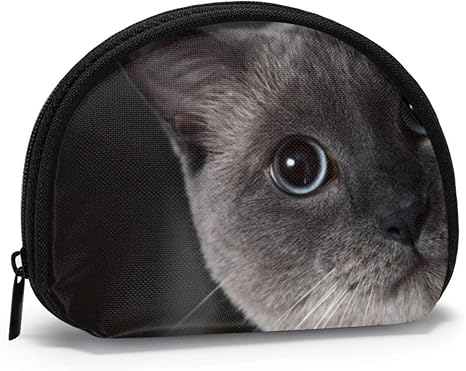 ミニ財布 灰色の猫 猫柄 アニメキャラクター 小銭入れ コンパクト 小さい 財布 コインケース カードケース お札入れ 貝殻型 レディース メンズ ホーム キッチン Amazon Co Jp