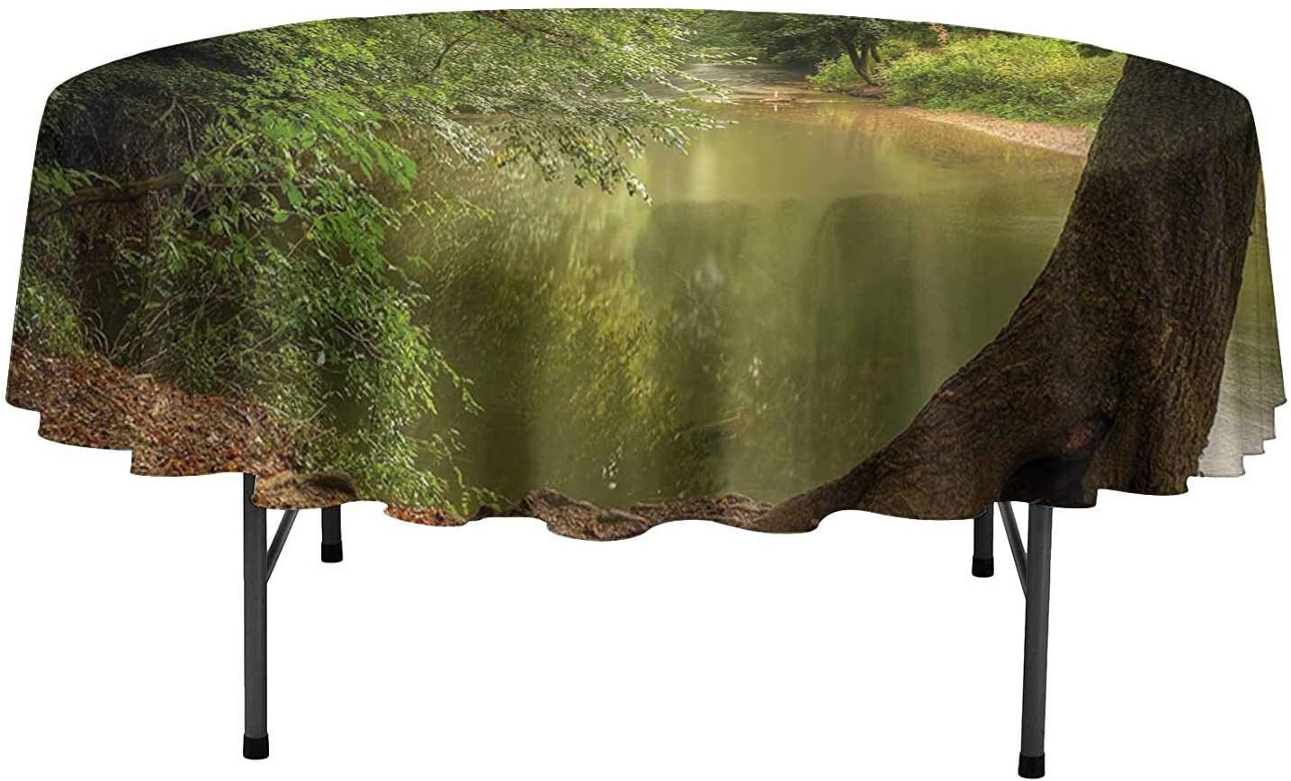Table Cloths Nature Enchanted Forest View with Trees Growth Eco