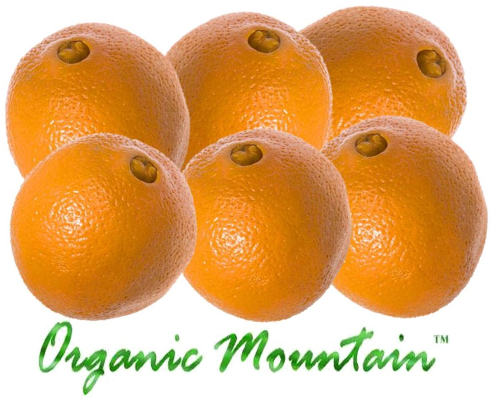 Organic Mountain Navel Oranges 1 Dozen (12) Grocery