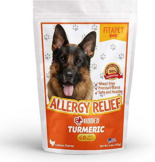 best allergy relief for dogs