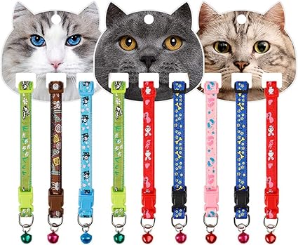 Legendog 3 Pièces Collier Danimal Familier Ajustable