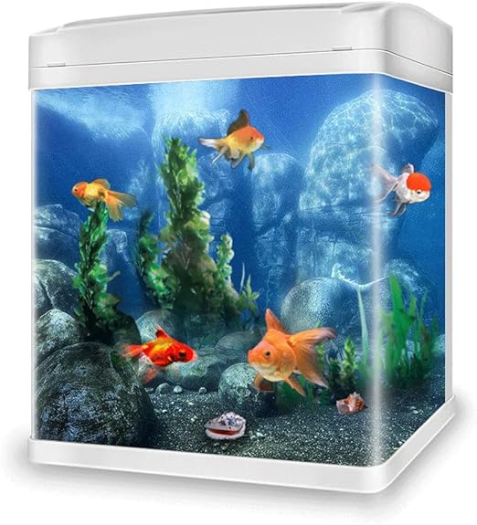 JIANGU - Acuario pequeño de Cristal para Escritorio, para el salón ...