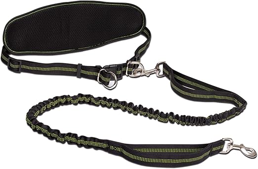 best double handle dog leash