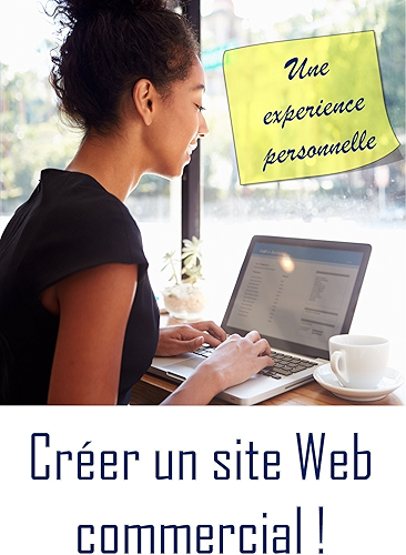 Download Créer un site Web commercial: Une experience personnelle PDF