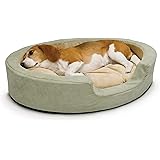 sunbeam heated dog bed