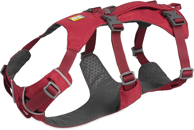 amazon ruffwear harness