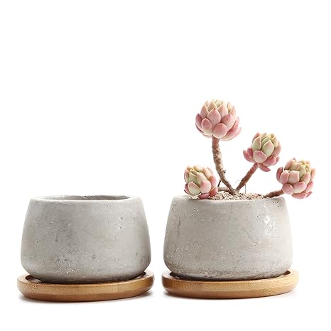 T4U 6,5cm Zement Sukkulenten Töpfchen mit Untersetzer Rund 2er-Set, Beton Mini Blumentopf für Kaktus Miniaturpflanzen