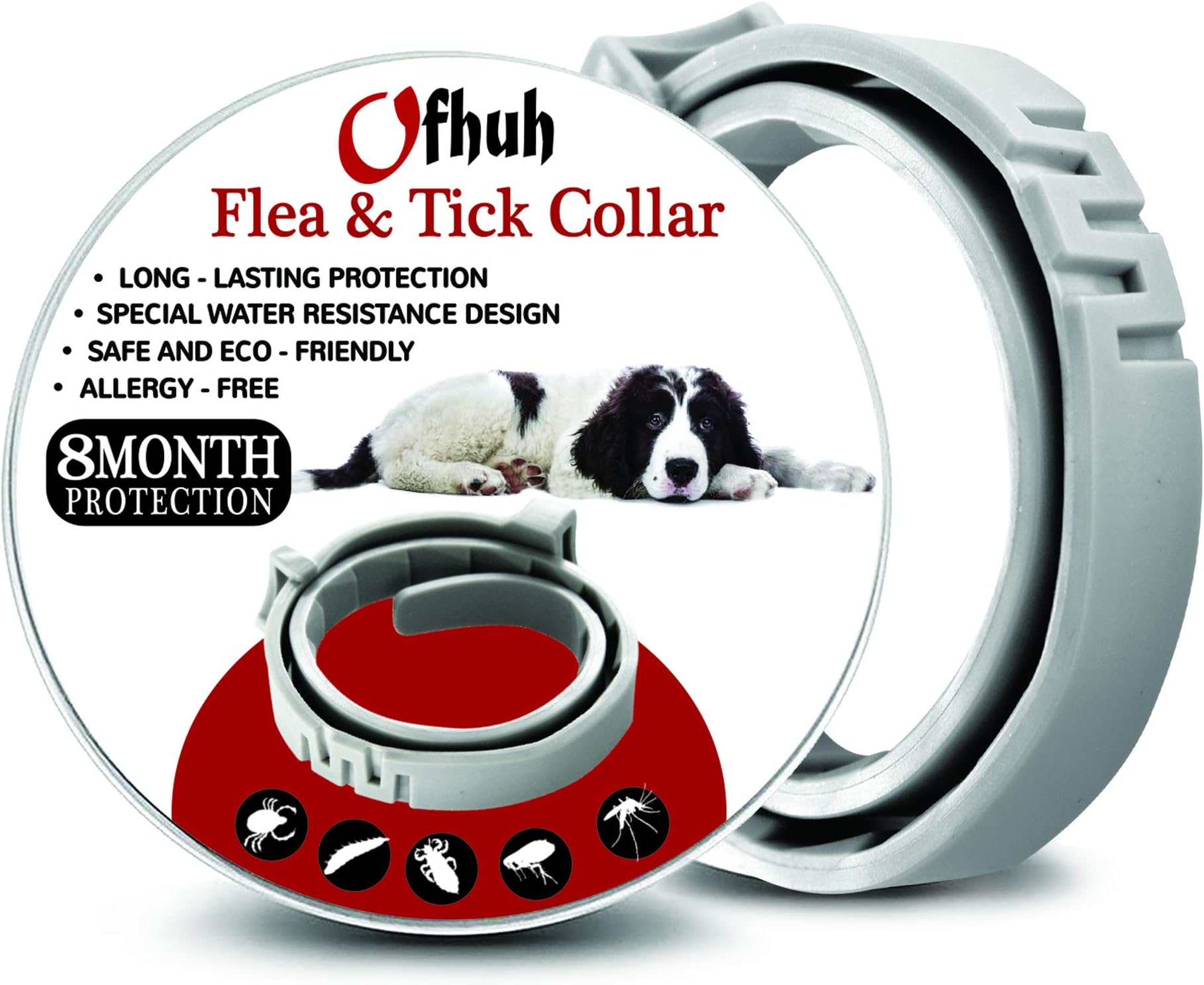 Healthy Chicken Swing Perch - Perfect Swinging Toy Set for Your Favorite Fowl - Bonus Sandpaper to Sharpen Chicken's Nails