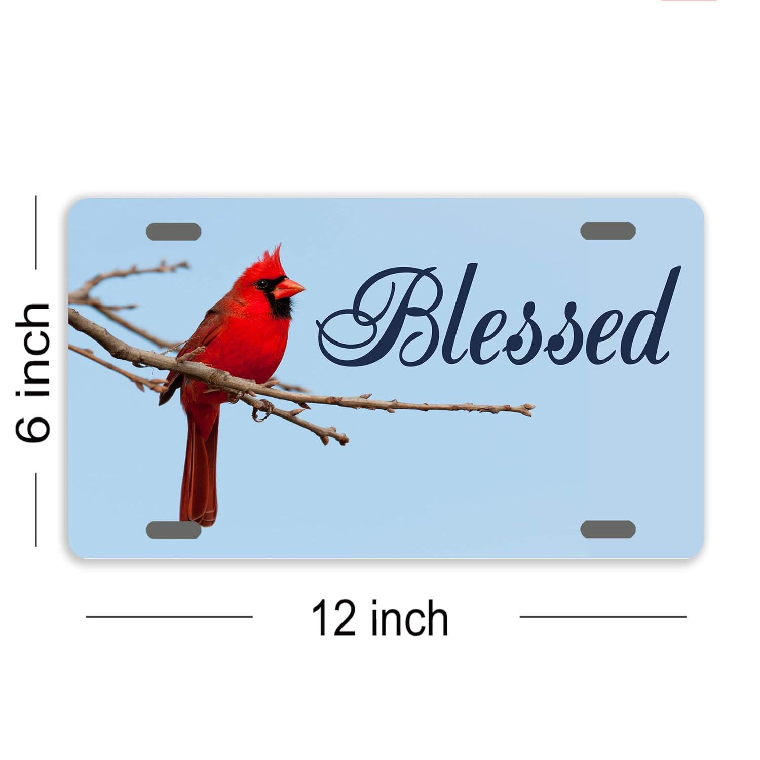 Blessed License Plate Cover Decorative Car Tag Sign Metal Auto Tag