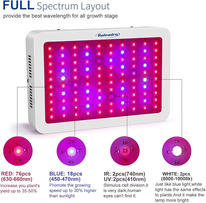 market platform dynamics