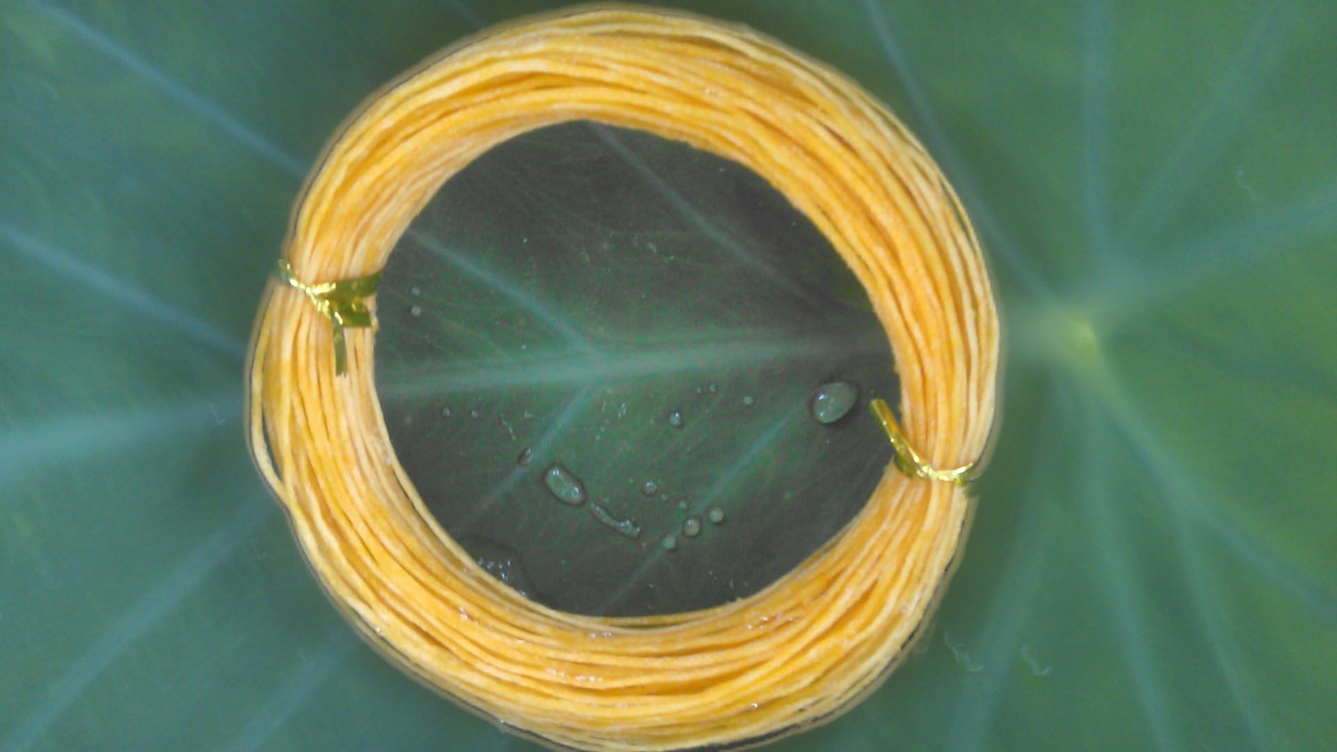 zhurod New Silk Fly Line DT5,with Nano Casting Double Tapered Braided at 27 Metres.
