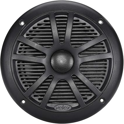 black marine speakers