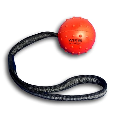 WEPO Perros Juguete | Ligero Centrifugado/Pelota con Cuerda de ...