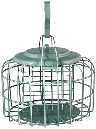 The Nuttery Squirrel And Predator Proof Oval Suet Feeder Amazon