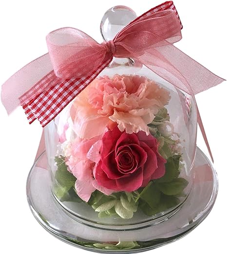 Amazon フローリストレマン プリザーブドフラワー 母の日 カーネーション ドーム ラッピング グラスドームm ピーチ プリザーブドフラワー オンライン通販