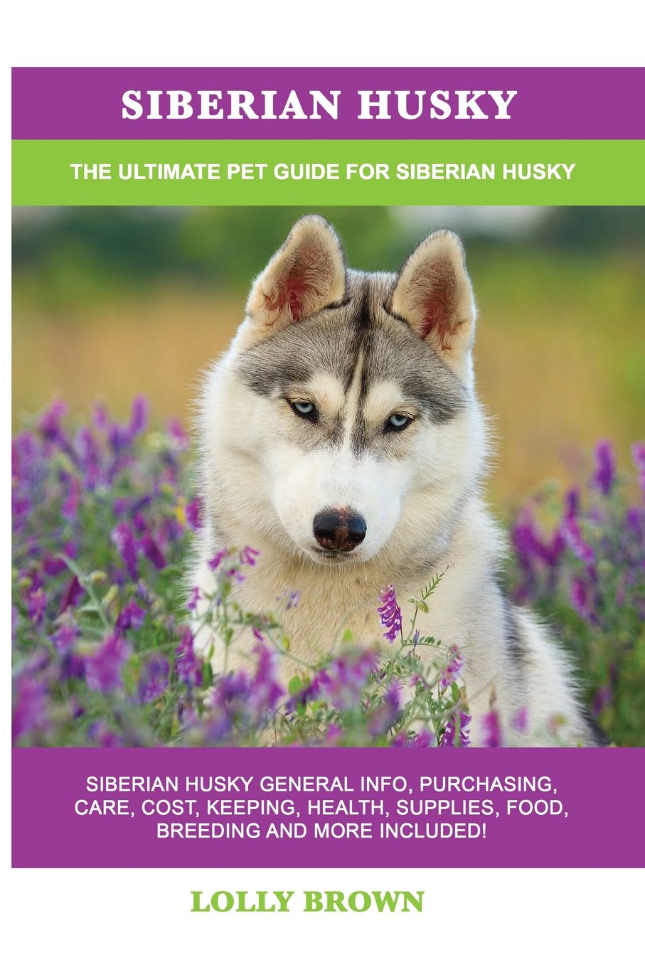 Siberian Husky: Siberian Husky General Info, Purchasing, Care, Cost,  Keeping, Health, Supplies, Food, Breeding and More Included! The Ultimate Pet  Guide for ...