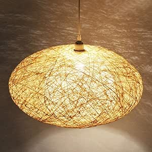 Lámpara de la rota en un baile suspendió la jerarquía del pájaro