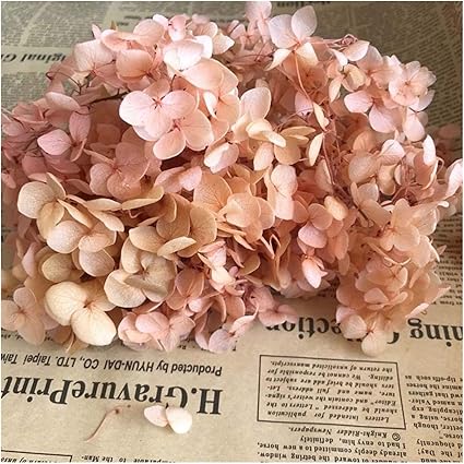 Linyuex Dried Flowers 4 4 5g Lot Natural Fresh Preserved Flowers Dried Hydrangea Flower Head For Diy Real Eternal Life Flowers Material Color 24 Amazon Co Uk Kitchen Home
