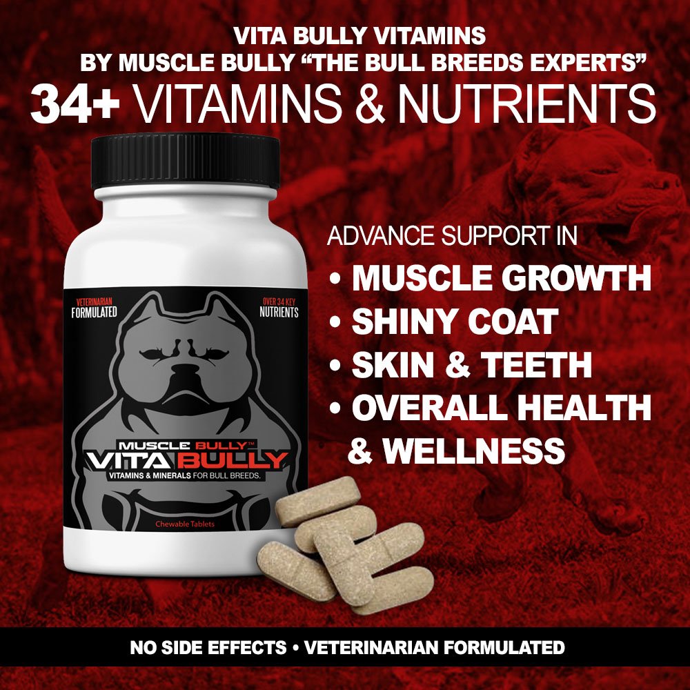 Vita Bully Vitamins for Bully Breeds Pit Bulls, American Bullies, Exotic Bullies, Bulldogs