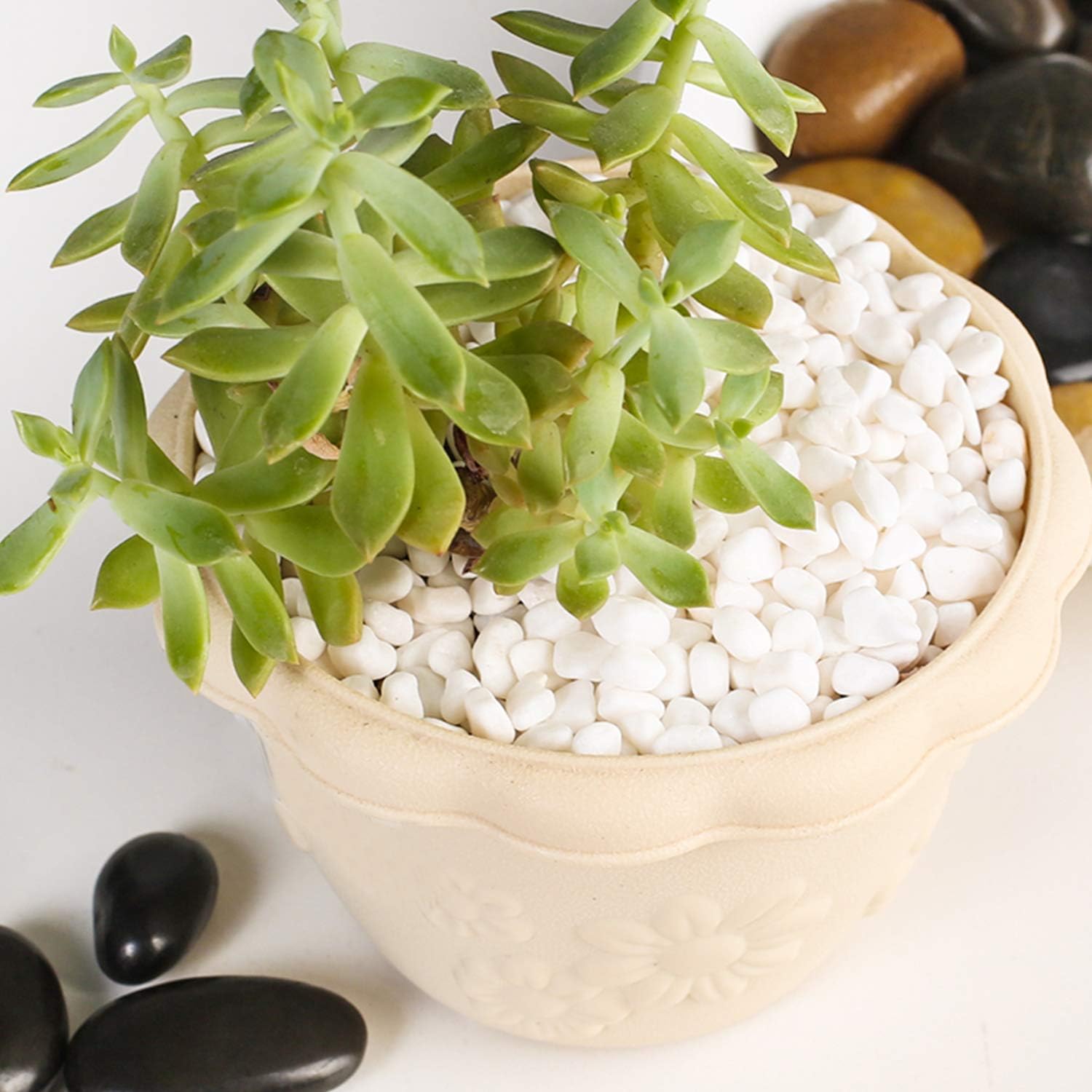 Succulent and Cactus Bonsai DIY Rocks, White Onyx, for Terrarium, Fairy Gardening, Top Dressing, 1.5lb … : Garden & Outdoor