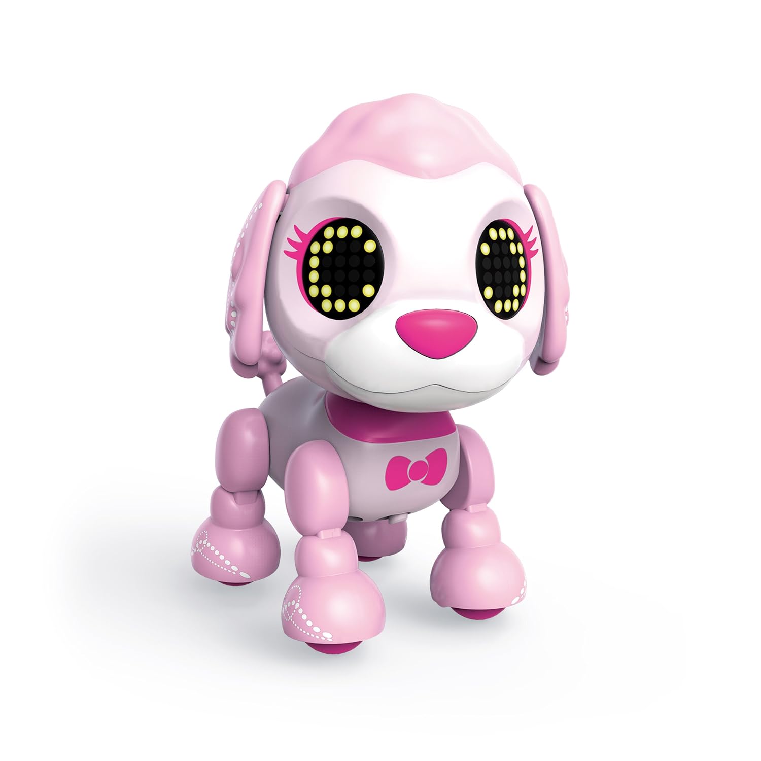 splish splash doggy daycare and spa