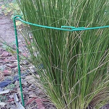 Liteness 2 Pcs 25x40cm Soporte para Plantas De Flor De Vid De ...