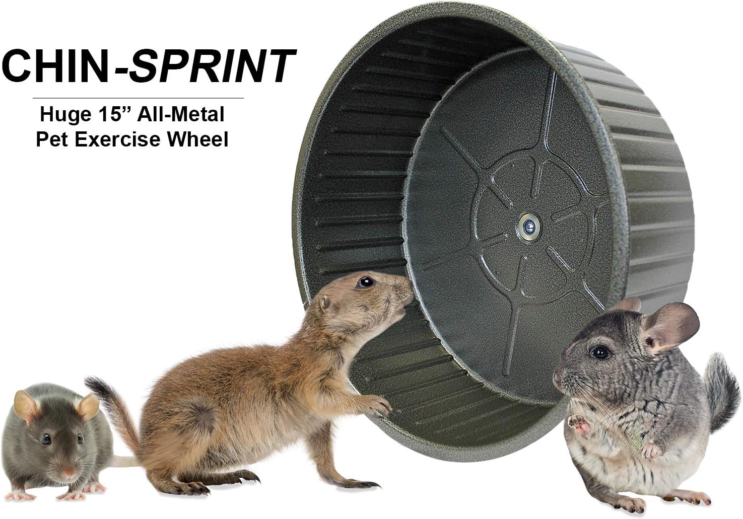 chinchilla exercise wheel