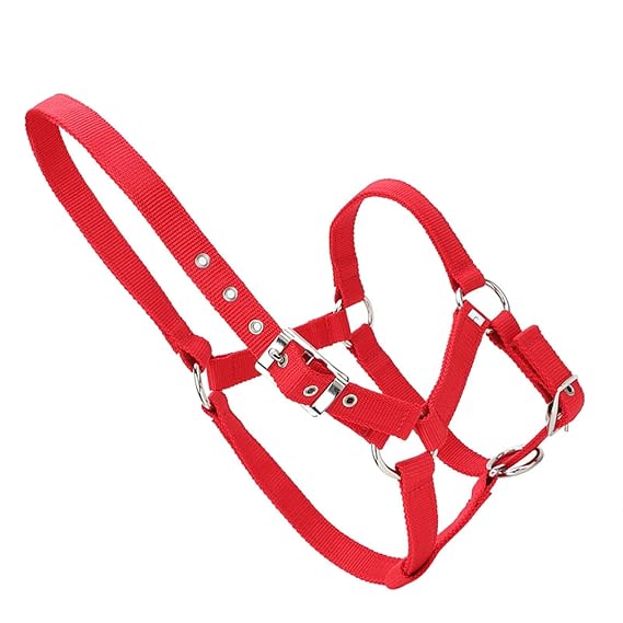 Adjustable Red Horse Bridle, Horse Control Bridle, 6mm Thickness for