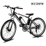 ferty folding electric bike